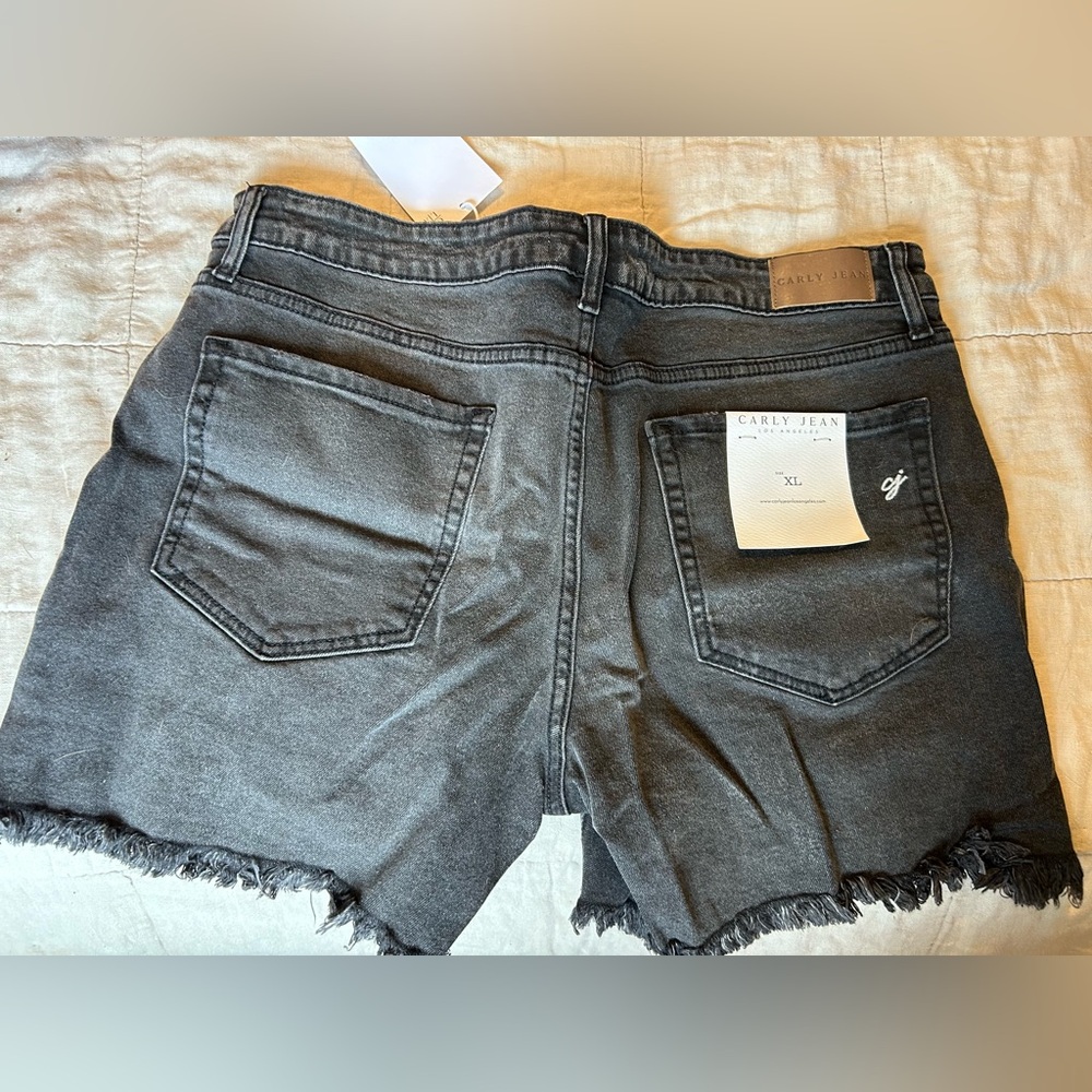 CJLA Shorts - image 3